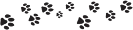 Лапки